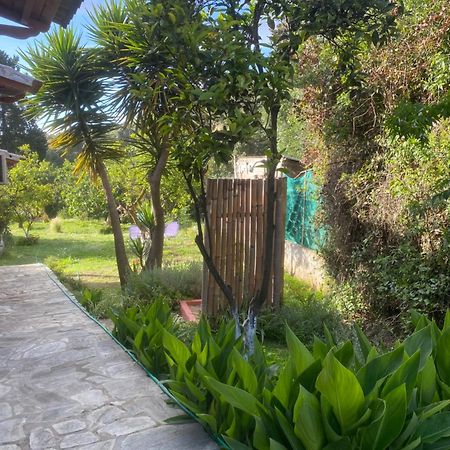 Casa Piccolino Villa Paramonas  Ngoại thất bức ảnh