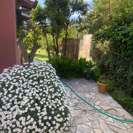 Casa Piccolino Villa Paramonas  Ngoại thất bức ảnh