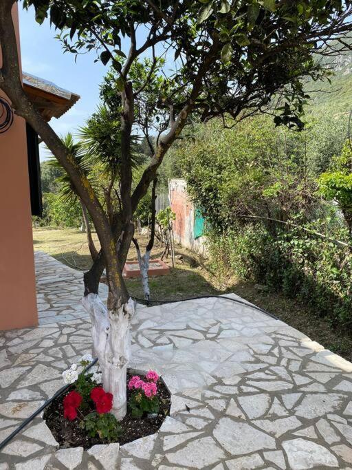 Casa Piccolino Villa Paramonas  Ngoại thất bức ảnh